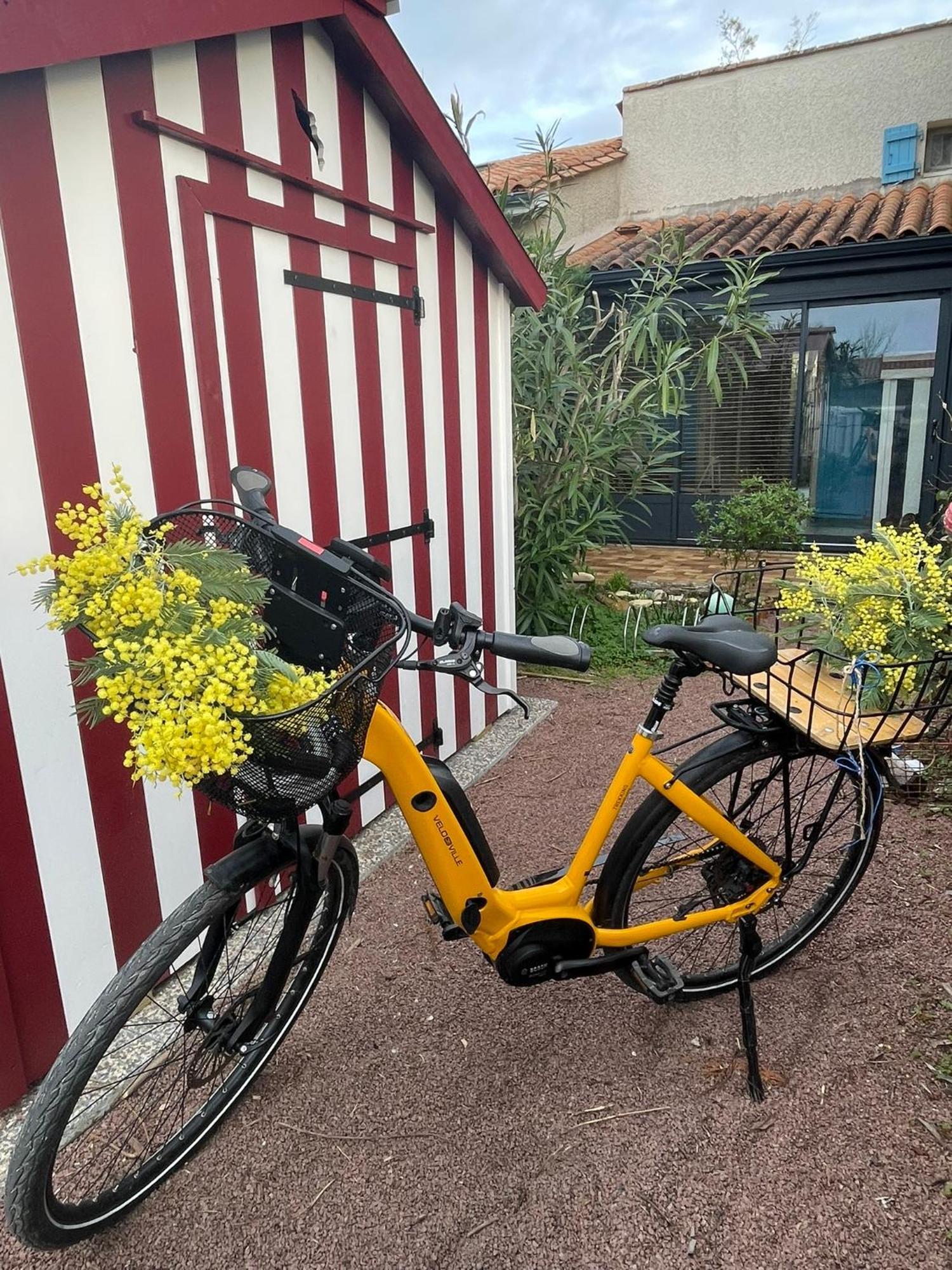 Les Mimosas Saint-Trojan-les-Bains Exterior foto